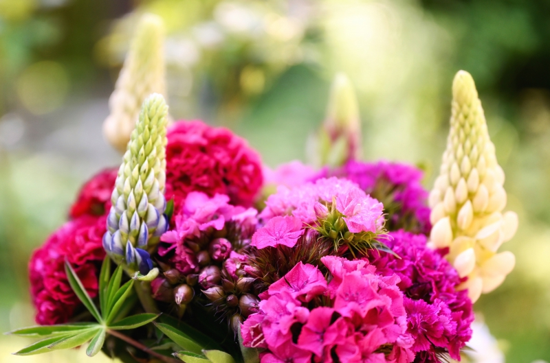 fleuriste-LES ARCS-min_flowers-5369794